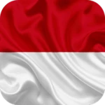 magic effect: indonesia android application logo